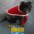 David Paul Rosato's profile image