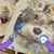 Melinda Reid's profile image