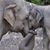Annie Walter Laminack's profile image