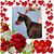 Jodi Ziolkowski's profile image
