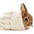 Will Faughnan's profile image