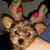 Linda McConchie's profile image