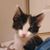 Becky Connell's profile image
