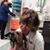 Lynn Brammer's profile image