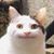 Jeff Harrison's profile image
