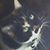 Rinda Brenton's profile image