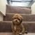 Linda Chaskey's profile image