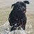 Susan M Daniels's profile image