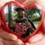 Melba Velez-Martinez's profile image