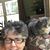 Rosanne Trendell's profile image
