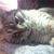 Mallory Lourens's profile image