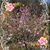 Dianne Hall Bartels's profile image