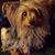 Diana Haggerty's profile image