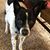 Donna Marie Barchman's profile image