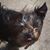 Mary Elias's profile image
