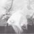 Melissa Olinghouse's profile image