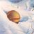 Ted Hill's profile image