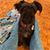 Susan Starkey Hill's profile image