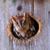 Becky Rasmussen's profile image