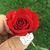 Pam Caudill's profile image