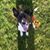 Debbie Parrish Sieg's profile image