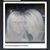 Elizabeth Thornton's profile image