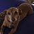 Chuck Brett's profile image