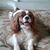 Stanley Koncar's profile image