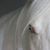 Tracey A D Booth's profile image