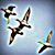 Wally Meerschaert's profile image