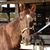 Christy Adams Perque's profile image