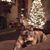 Brooke M. Altland Schell's profile image