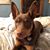 Lori Lay Sentell's profile image