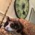 Sharon Ianoale's profile image
