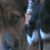 Diane Heis's profile image