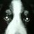 Stephen Thacker's profile image