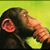 Francisco Aragon's profile image