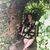 Mahly Pillosof's profile image