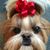 Joni L.'s profile image