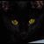 Lisa Block's profile image
