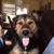 Mark Fisher's profile image