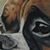 Shannon Carlson's profile image