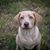 Sheila Nunn Parish's profile image