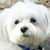 Blaser Gina's profile image