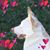 Kelly Devlin's profile image