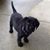 Kathy Smith Carter's profile image