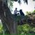karinciuzinha's profile image