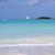 Michelle Hiner's profile image