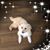 Vicky Haddock Goddard's profile image