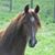 Penny Clayton's profile image